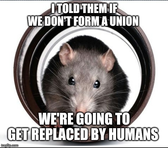 lab rat | I TOLD THEM IF WE DON'T FORM A UNION WE'RE GOING TO GET REPLACED BY HUMANS | image tagged in lab rat | made w/ Imgflip meme maker