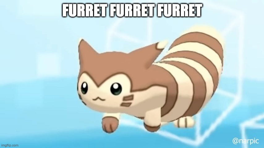 Furret furret furret | FURRET FURRET FURRET | image tagged in furret walcc | made w/ Imgflip meme maker