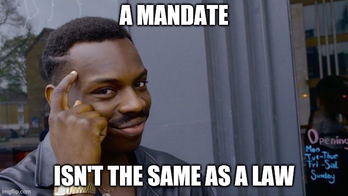 Roll Safe Think About It Meme | A MANDATE ISN'T THE SAME AS A LAW | image tagged in memes,roll safe think about it | made w/ Imgflip meme maker