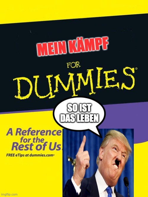 For dummies book | MEIN KÄMPF; SO IST DAS LEBEN | image tagged in for dummies book | made w/ Imgflip meme maker
