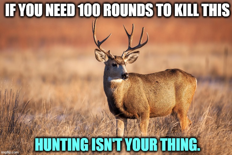 Voting is a right, too, but you're happy to put all kinds of restrictions on that. | IF YOU NEED 100 ROUNDS TO KILL THIS; HUNTING ISN'T YOUR THING. | image tagged in deer,hunting,military,assault weapons,second amendment | made w/ Imgflip meme maker