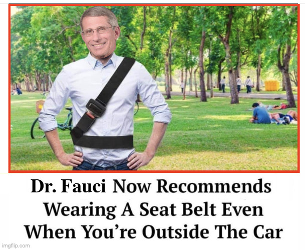 Keeping You Safe | image tagged in dr fauci | made w/ Imgflip meme maker