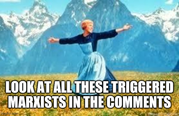 Look At All These Meme | LOOK AT ALL THESE TRIGGERED MARXISTS IN THE COMMENTS | image tagged in memes,look at all these | made w/ Imgflip meme maker