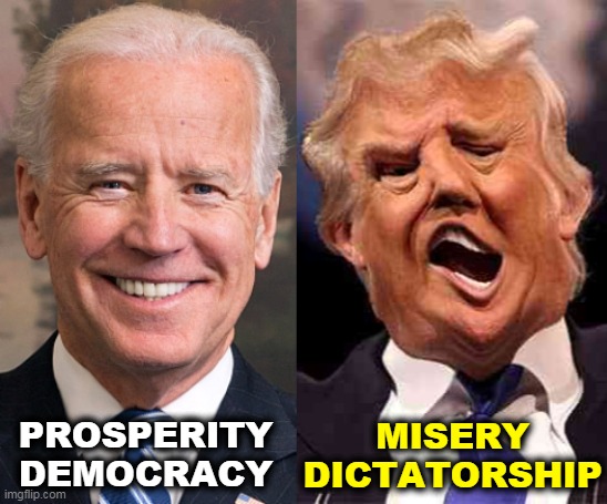 An easy choice. | PROSPERITY
DEMOCRACY; MISERY
DICTATORSHIP | image tagged in biden sane trump crazy,biden,smart,trump,crazy | made w/ Imgflip meme maker