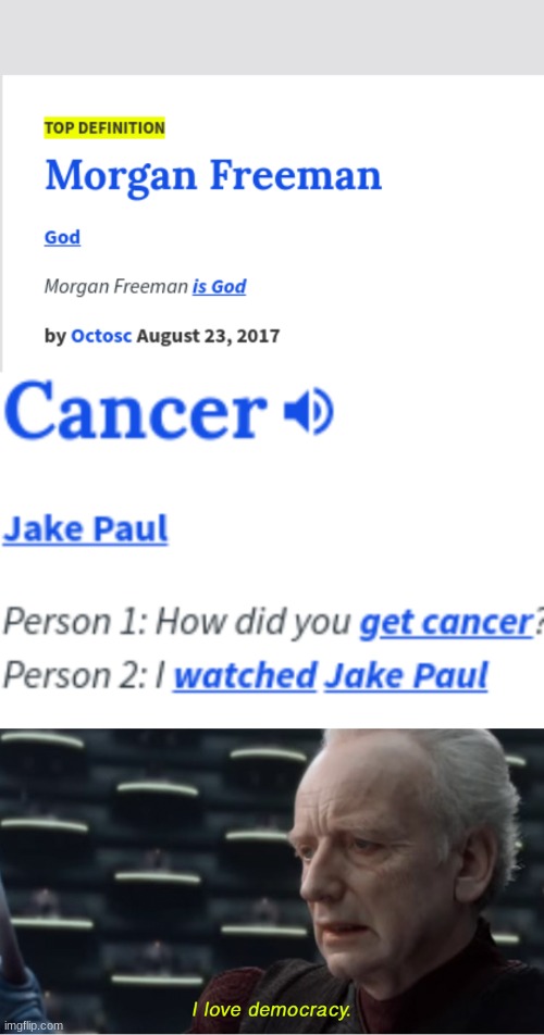 some things i found on urban dictionary | image tagged in i love democracy | made w/ Imgflip meme maker