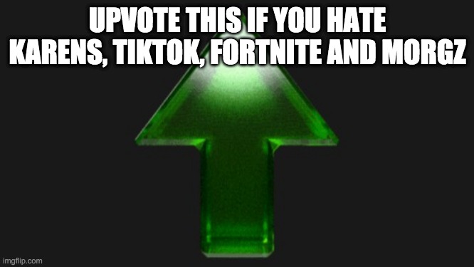 Upvote this if you hate karens tiktok fortnite and morgz :D | UPVOTE THIS IF YOU HATE KARENS, TIKTOK, FORTNITE AND MORGZ | image tagged in upvote | made w/ Imgflip meme maker