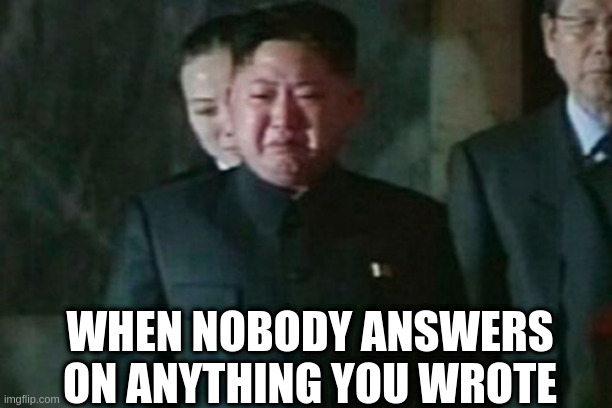 Kim Jong Un Sad |  WHEN NOBODY ANSWERS ON ANYTHING YOU WROTE | image tagged in memes,kim jong un sad | made w/ Imgflip meme maker