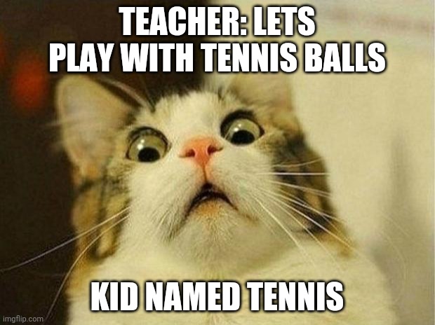 True though | TEACHER: LETS PLAY WITH TENNIS BALLS; KID NAMED TENNIS | image tagged in memes,scared cat | made w/ Imgflip meme maker