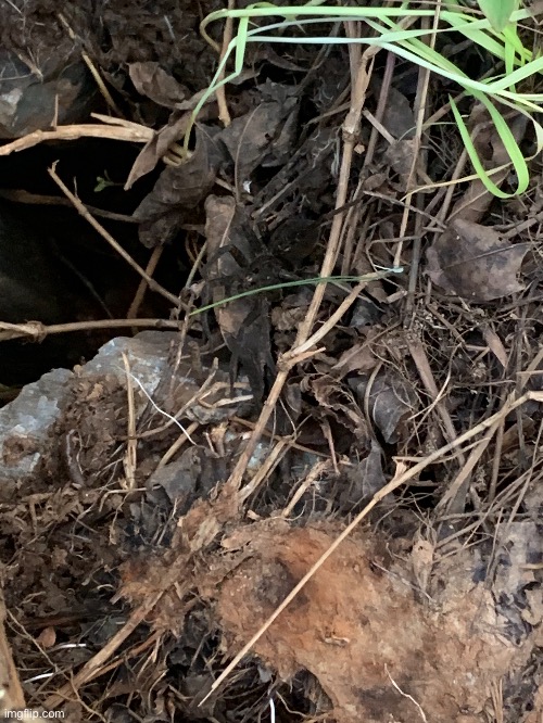 Do you see it? | made w/ Imgflip meme maker