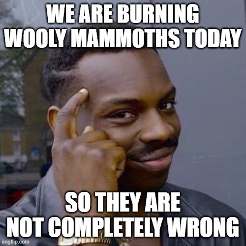 Thinking Black Guy | WE ARE BURNING WOOLY MAMMOTHS TODAY SO THEY ARE NOT COMPLETELY WRONG | image tagged in thinking black guy | made w/ Imgflip meme maker