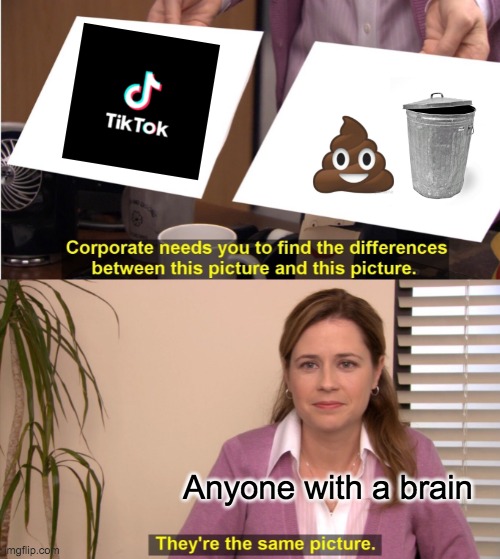 They're The Same Picture Meme | Anyone with a brain | image tagged in memes,they're the same picture | made w/ Imgflip meme maker