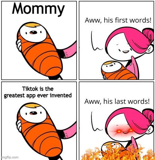 His last words lol | Mommy; Tiktok is the greatest app ever invented | image tagged in aww his last words | made w/ Imgflip meme maker