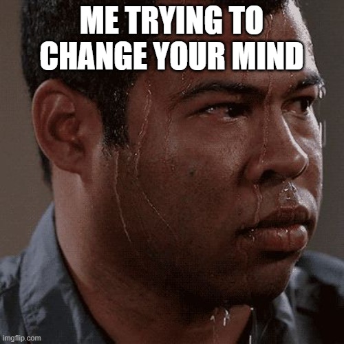 Sweaty tryhard | ME TRYING TO CHANGE YOUR MIND | image tagged in sweaty tryhard | made w/ Imgflip meme maker