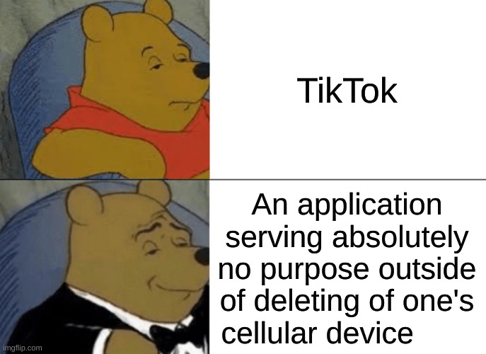 Tuxedo Winnie The Pooh | TikTok; An application serving absolutely no purpose outside of deleting of one's cellular device | image tagged in memes,tuxedo winnie the pooh | made w/ Imgflip meme maker