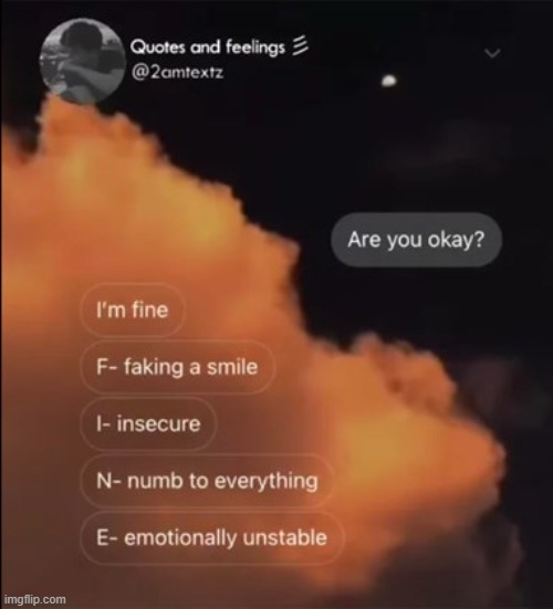 me when i say i'm fine: | made w/ Imgflip meme maker