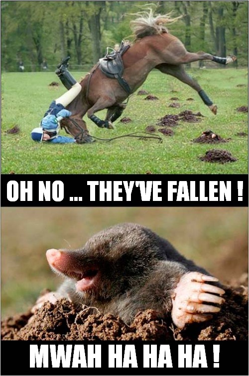Are Moles Evil ? | OH NO ... THEY'VE FALLEN ! MWAH HA HA HA ! | image tagged in horse,falling,evil,mole,mwahahaha | made w/ Imgflip meme maker