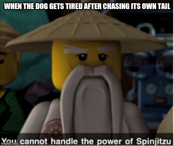 Dogjitzu | WHEN THE DOG GETS TIRED AFTER CHASING ITS OWN TAIL | image tagged in you cannot handle the power of spinjitzu,tail,dog,ninjago | made w/ Imgflip meme maker