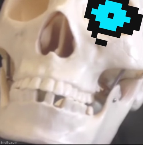 anything thats a skeleton is now sans | image tagged in memes,sans,undertale | made w/ Imgflip meme maker