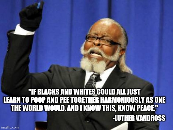 Higher Love | "IF BLACKS AND WHITES COULD ALL JUST LEARN TO POOP AND PEE TOGETHER HARMONIOUSLY AS ONE
THE WORLD WOULD, AND I KNOW THIS, KNOW PEACE."; -LUTHER VANDROSS | image tagged in memes,too damn high,inspirational quote,history channel,cnn,race card | made w/ Imgflip meme maker