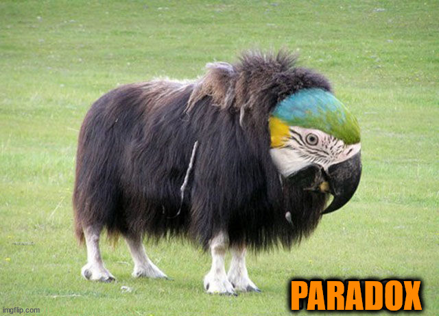 PARADOX | image tagged in eyeroll | made w/ Imgflip meme maker