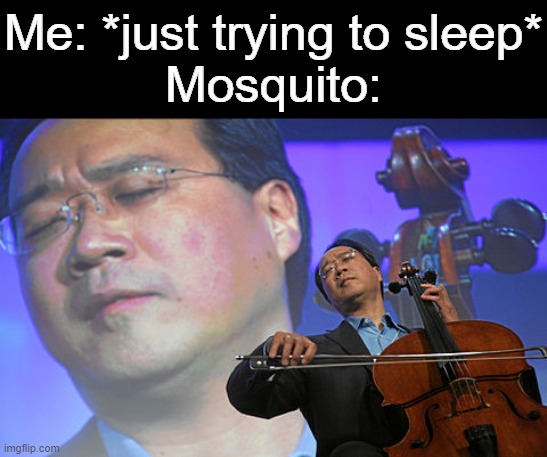 Chinese violin | Me: *just trying to sleep*
Mosquito: | image tagged in chinese violin,memes,mosquito,annoying mosquito | made w/ Imgflip meme maker