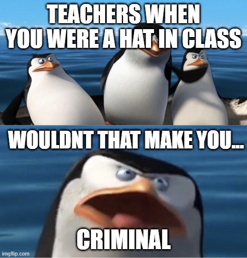Wouldn't that make you | TEACHERS WHEN YOU WERE A HAT IN CLASS; WOULDNT THAT MAKE YOU... CRIMINAL | image tagged in wouldn't that make you | made w/ Imgflip meme maker