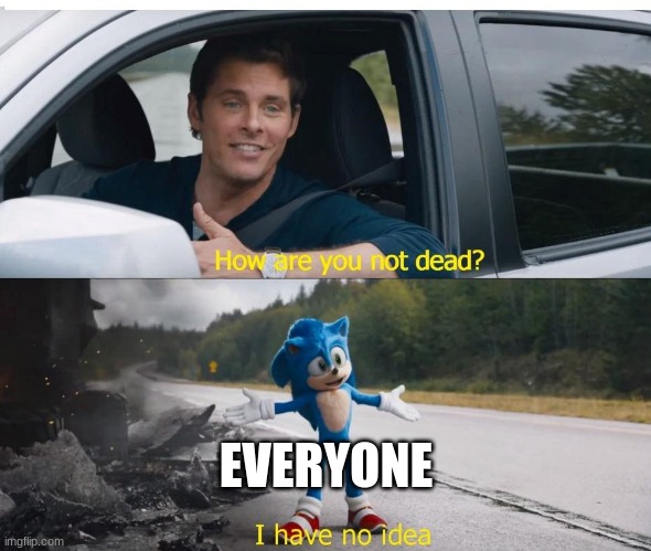 sonic how are you not dead | EVERYONE | image tagged in sonic how are you not dead | made w/ Imgflip meme maker