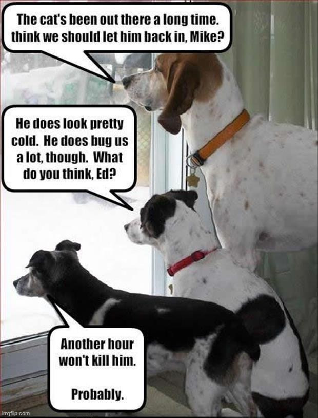 I can see this happening | image tagged in repost,dogs | made w/ Imgflip meme maker