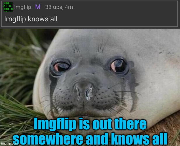 Imgflip is out there somewhere and knows all | image tagged in crying seal | made w/ Imgflip meme maker