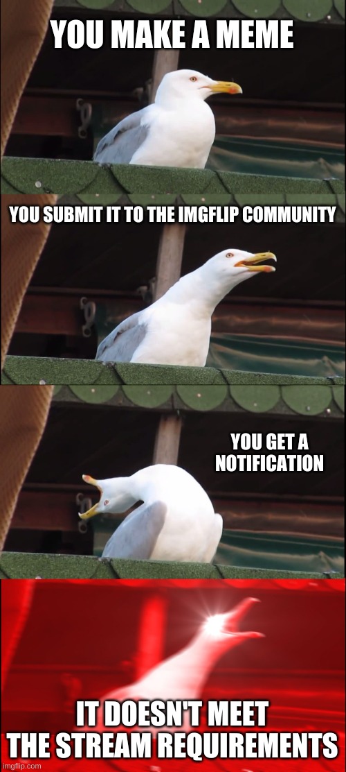 Inhaling Seagull Meme | YOU MAKE A MEME; YOU SUBMIT IT TO THE IMGFLIP COMMUNITY; YOU GET A NOTIFICATION; IT DOESN'T MEET THE STREAM REQUIREMENTS | image tagged in memes,inhaling seagull | made w/ Imgflip meme maker
