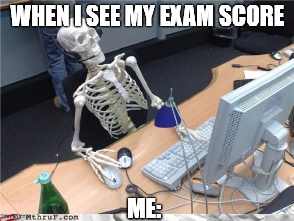 Skeleton Computer | WHEN I SEE MY EXAM SCORE; ME: | image tagged in skeleton computer | made w/ Imgflip meme maker