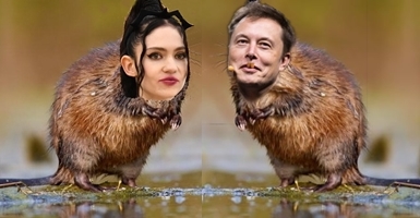 Elon Muskrat Love Blank Meme Template