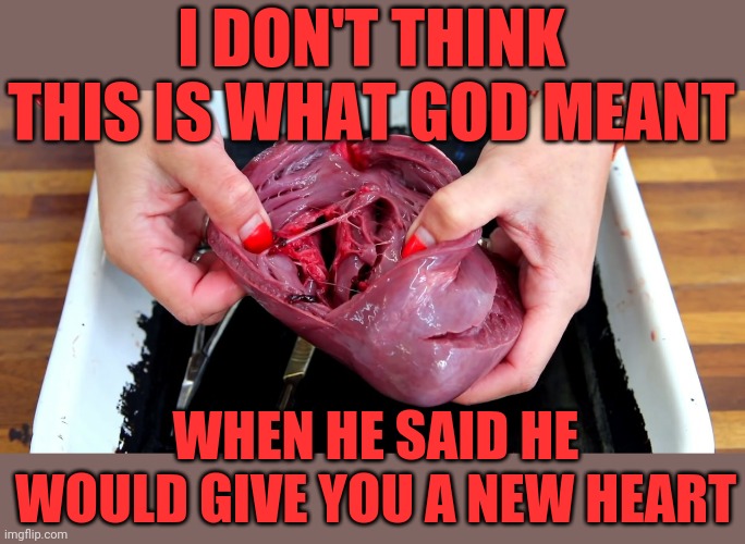 Oof | I DON'T THINK THIS IS WHAT GOD MEANT; WHEN HE SAID HE WOULD GIVE YOU A NEW HEART | image tagged in heart,dark humor,god,funny,misunderstanding | made w/ Imgflip meme maker