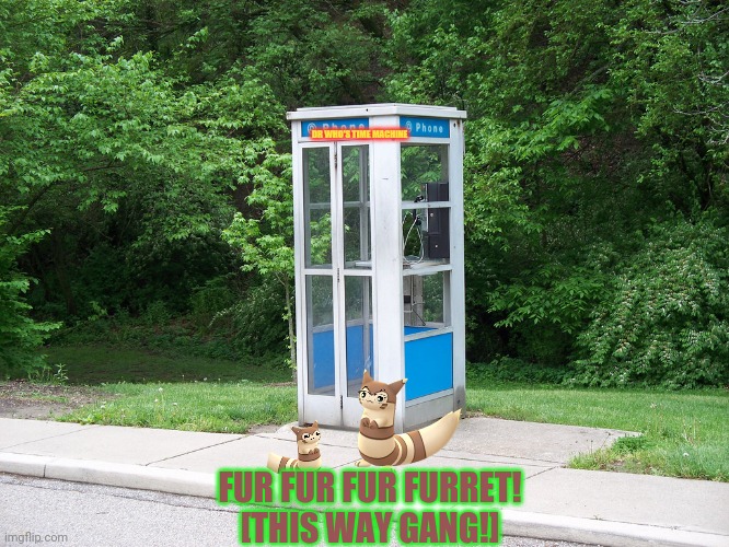 The furrets prepare to travel back in time! | DR WHO'S TIME MACHINE; FUR FUR FUR FURRET!
[THIS WAY GANG!] | image tagged in phone booth,furret,dr who,time travel,you cant stop the furret army | made w/ Imgflip meme maker