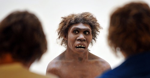 SHOCKED NEANDERTHAL Blank Meme Template