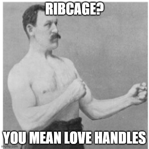 Overly Manly Man | RIBCAGE? YOU MEAN LOVE HANDLES | image tagged in memes,overly manly man | made w/ Imgflip meme maker