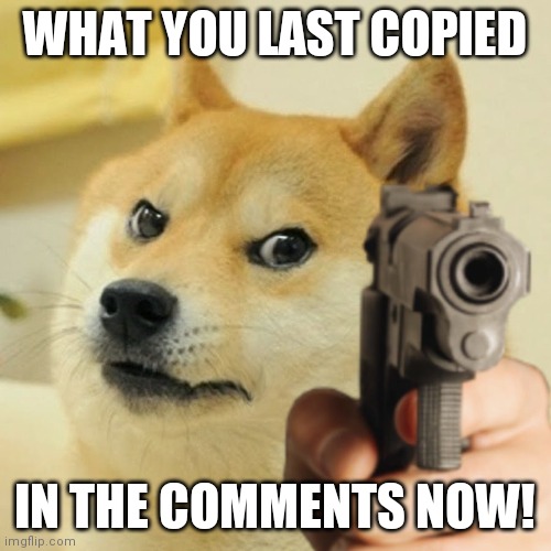 Doge holding a gun | WHAT YOU LAST COPIED; IN THE COMMENTS NOW! | image tagged in doge holding a gun | made w/ Imgflip meme maker