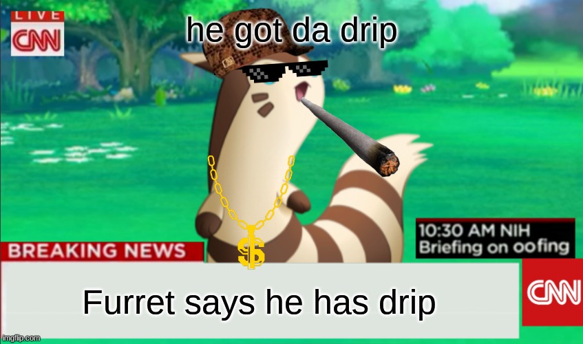 Breaking News Furret | he got da drip; Furret says he has drip | image tagged in breaking news furret,drip | made w/ Imgflip meme maker