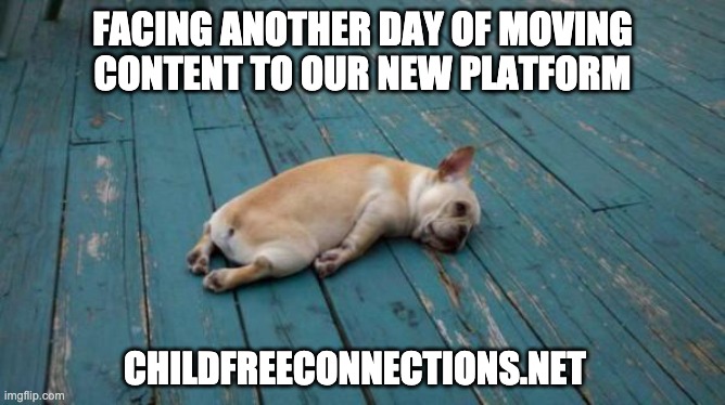 tired dog |  FACING ANOTHER DAY OF MOVING CONTENT TO OUR NEW PLATFORM; CHILDFREECONNECTIONS.NET | image tagged in tired dog | made w/ Imgflip meme maker
