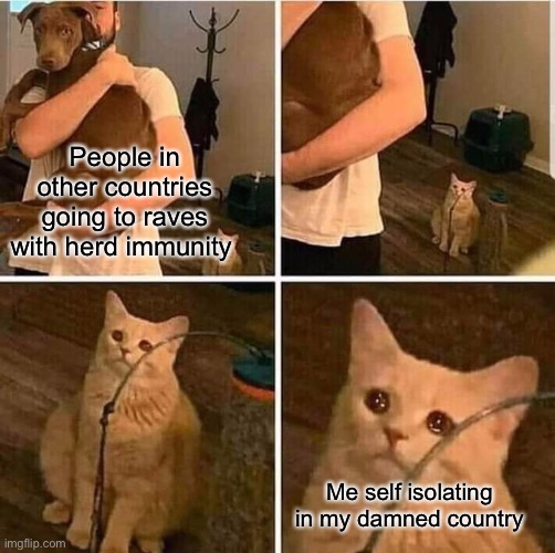 Cat Left Out Crying | People in other countries going to raves with herd immunity; Me self isolating in my damned country | image tagged in cat left out crying,memes | made w/ Imgflip meme maker