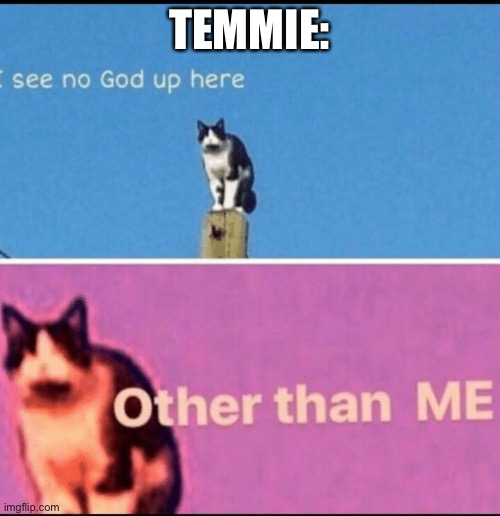 I see no god up here other than me | TEMMIE: | image tagged in i see no god up here other than me | made w/ Imgflip meme maker