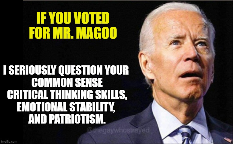 Biden Voters | IF YOU VOTED FOR MR. MAGOO; I SERIOUSLY QUESTION YOUR 
COMMON SENSE
CRITICAL THINKING SKILLS,
EMOTIONAL STABILITY, 
AND PATRIOTISM. | image tagged in joe biden,liberals,trump derangement syndrome,dimwits,democrats,useful idiots | made w/ Imgflip meme maker