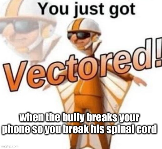 bully | when the bully breaks your phone so you break his spinal cord | image tagged in you just got vectored | made w/ Imgflip meme maker