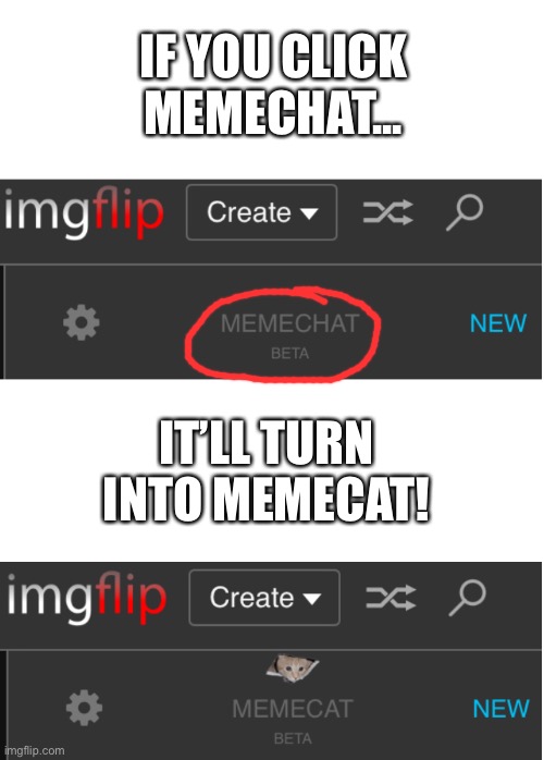Memecat | IF YOU CLICK MEMECHAT... IT’LL TURN INTO MEMECAT! | image tagged in easter egg | made w/ Imgflip meme maker