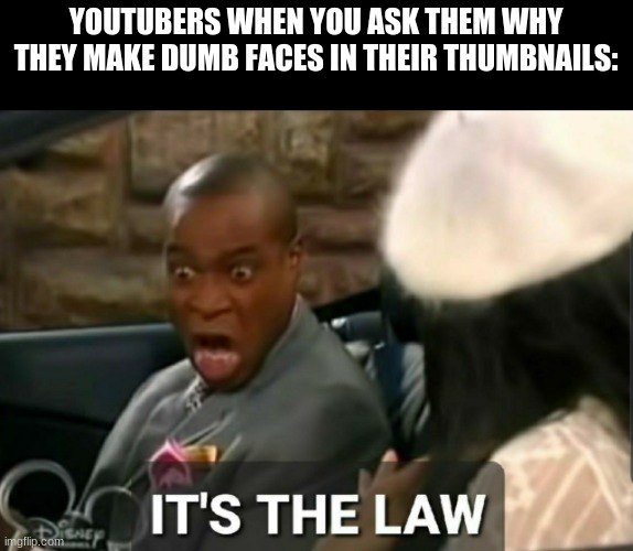 It's the law | YOUTUBERS WHEN YOU ASK THEM WHY THEY MAKE DUMB FACES IN THEIR THUMBNAILS: | image tagged in it's the law,youtube,funny | made w/ Imgflip meme maker