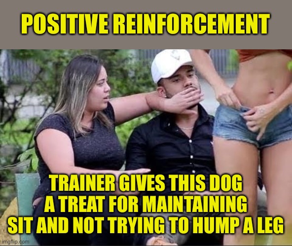Driven To Distraction | POSITIVE REINFORCEMENT; TRAINER GIVES THIS DOG A TREAT FOR MAINTAINING SIT AND NOT TRYING TO HUMP A LEG | image tagged in positive reinforcement,treat,distraction,man,woman,trainer | made w/ Imgflip meme maker