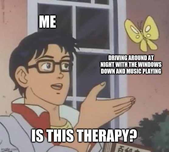 Is This A Pigeon | ME; DRIVING AROUND AT NIGHT WITH THE WINDOWS DOWN AND MUSIC PLAYING; IS THIS THERAPY? | image tagged in memes,is this a pigeon | made w/ Imgflip meme maker