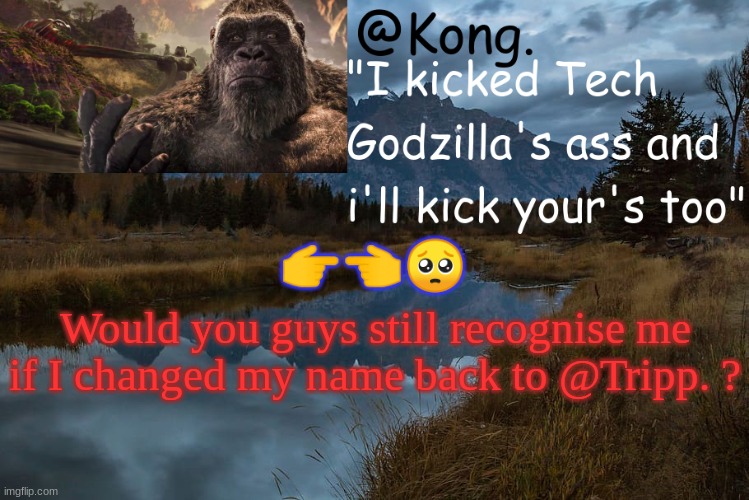 if you guys say my first name ever I'll follow and take the time out of my day to like all your things. | 👉👈🥺; Would you guys still recognise me if I changed my name back to @Tripp. ? | image tagged in kong 's new temp | made w/ Imgflip meme maker