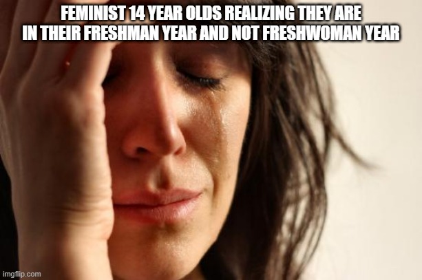 lol | FEMINIST 14 YEAR OLDS REALIZING THEY ARE IN THEIR FRESHMAN YEAR AND NOT FRESHWOMAN YEAR | image tagged in memes,first world problems | made w/ Imgflip meme maker