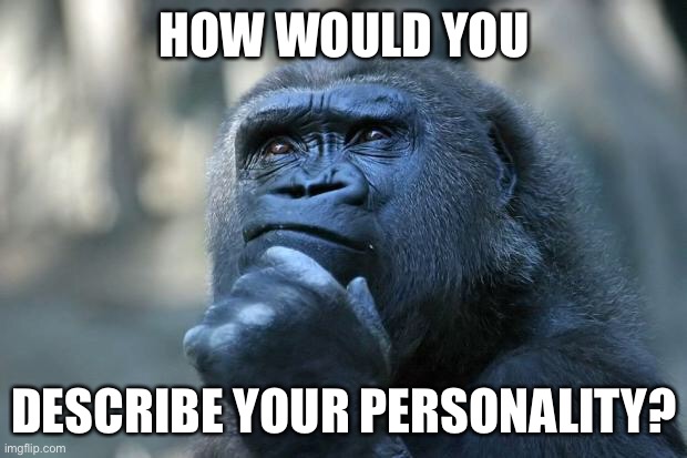 LOL | HOW WOULD YOU; DESCRIBE YOUR PERSONALITY? | image tagged in deep thoughts | made w/ Imgflip meme maker